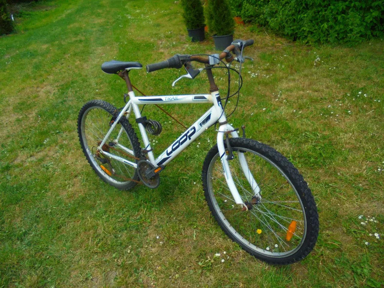 Billede 1 - Cykel Loop Trail