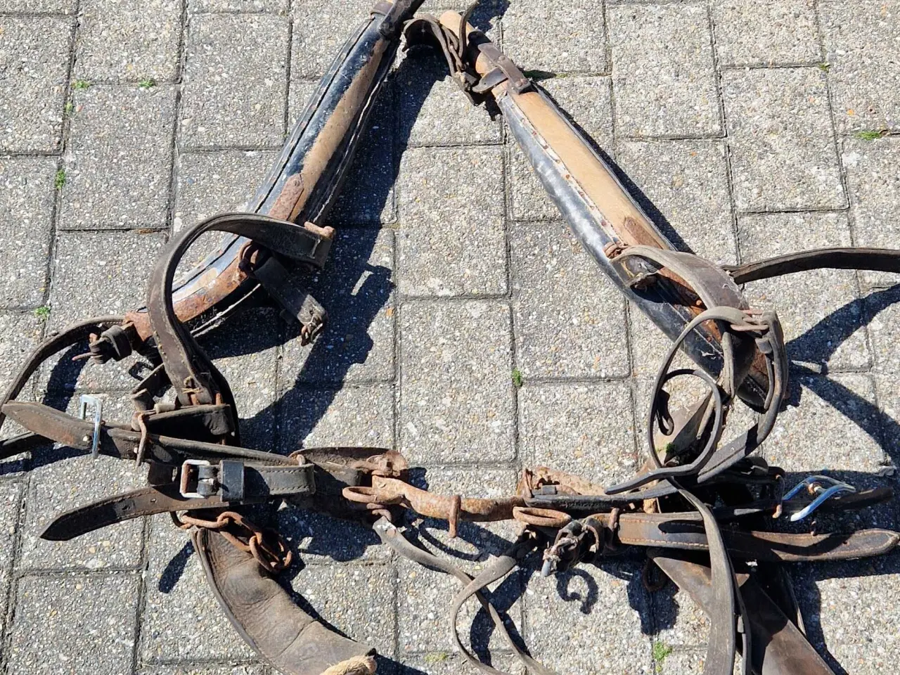 Billede 7 - Seletøj til heste 