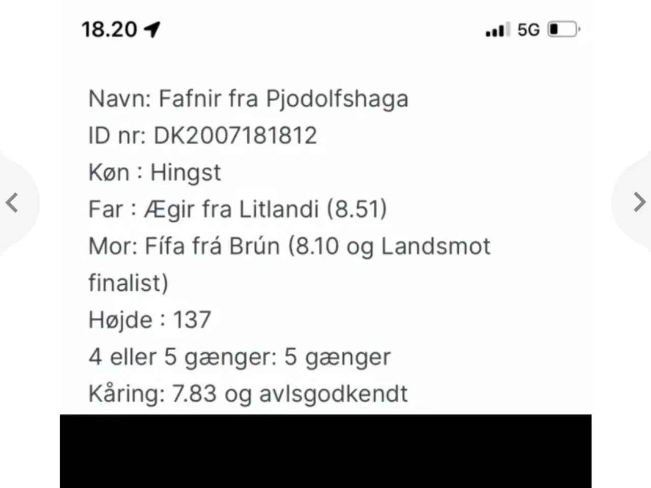 Billede 8 - Islænder hingste plag