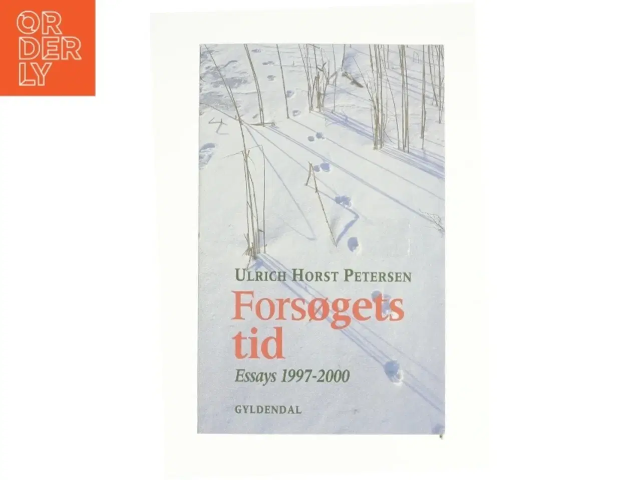 Billede 1 - Forsøgets tid af Ulrich Horst Petersen (Bog)