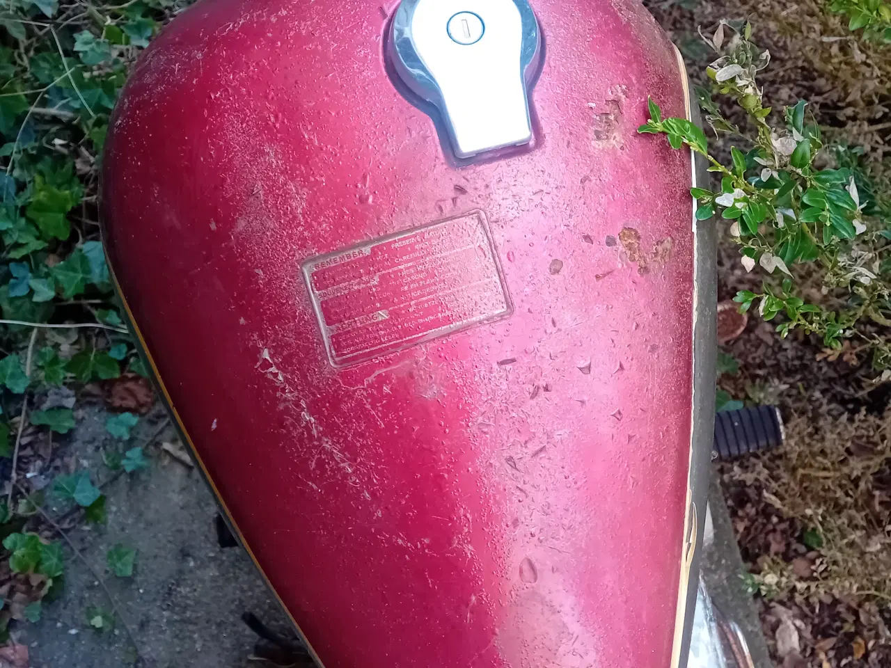 Billede 4 - Ledow Borelli