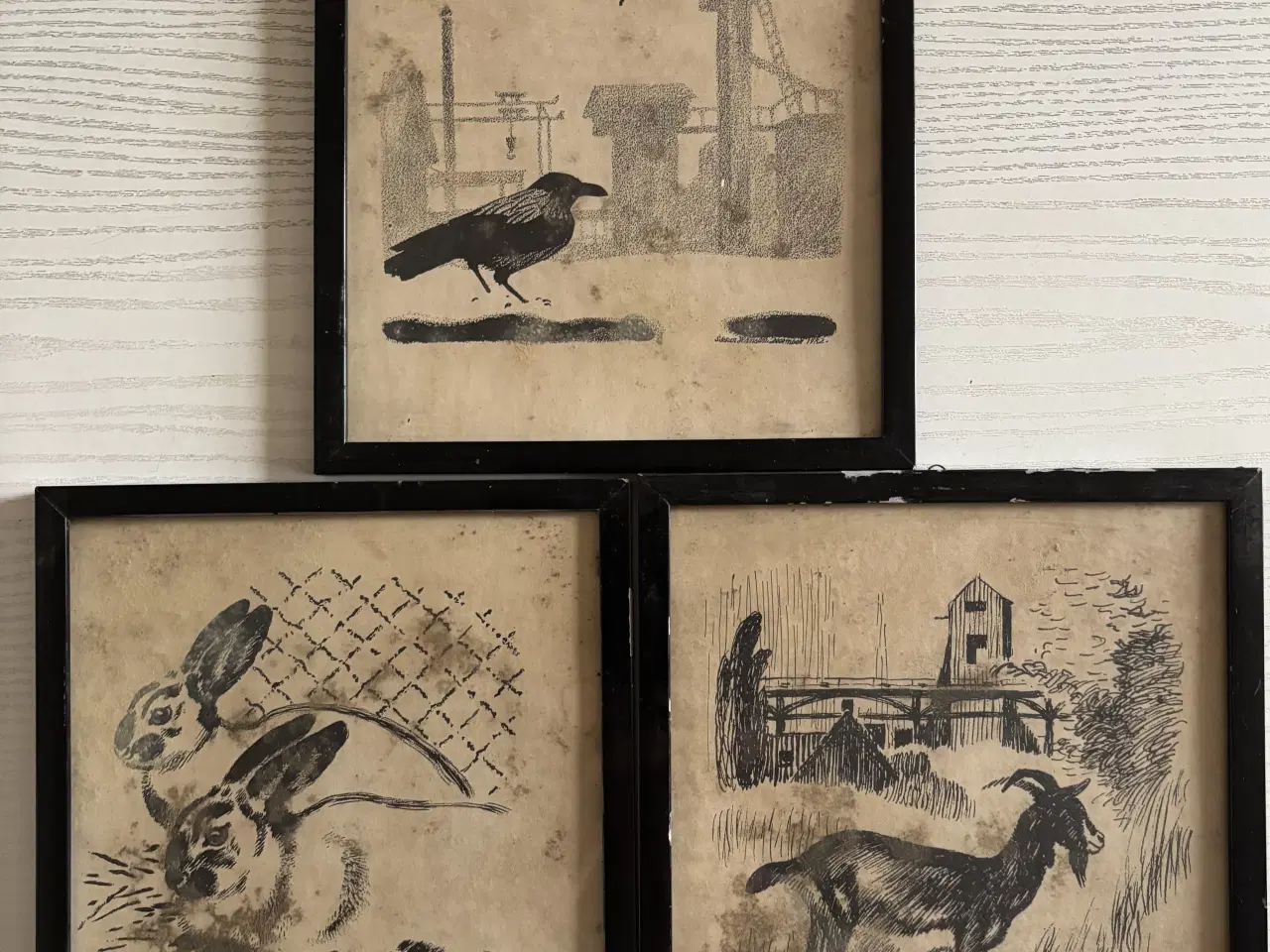 Billede 1 - Billeder, Sikker Hansen