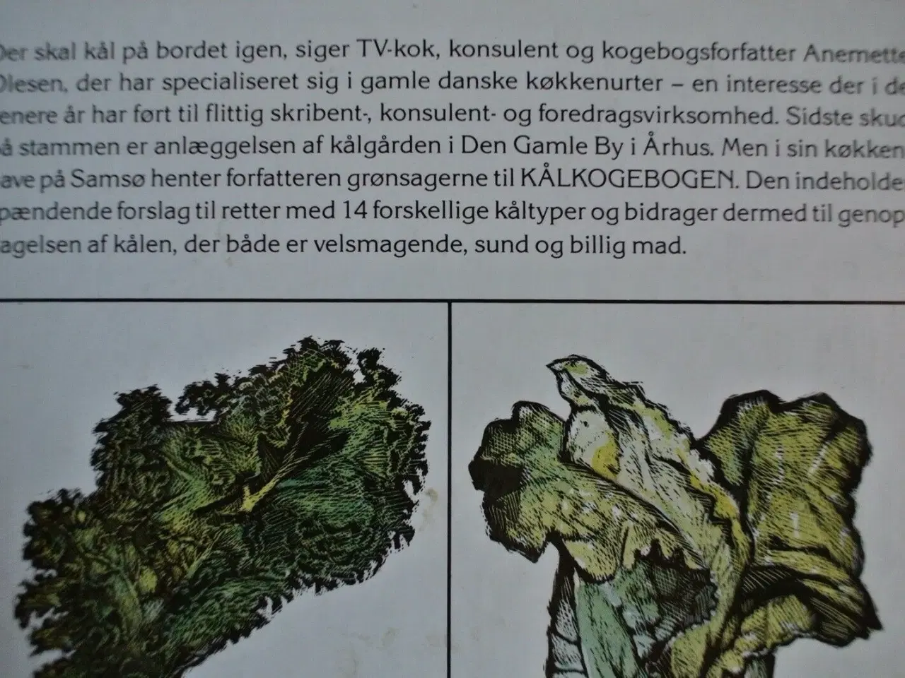 Billede 3 - kålkogebogen, af anemette olesen. ill. af bill stj
