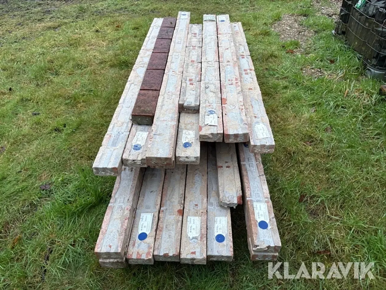 Billede 5 - Overlæggere 21 styk