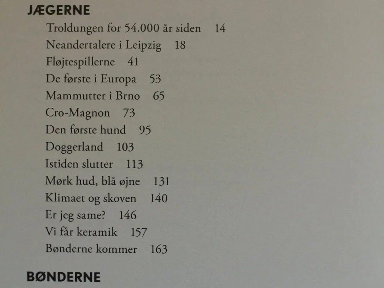 Billede 2 - min europæiske familie i de sidste 54.000 år, af k