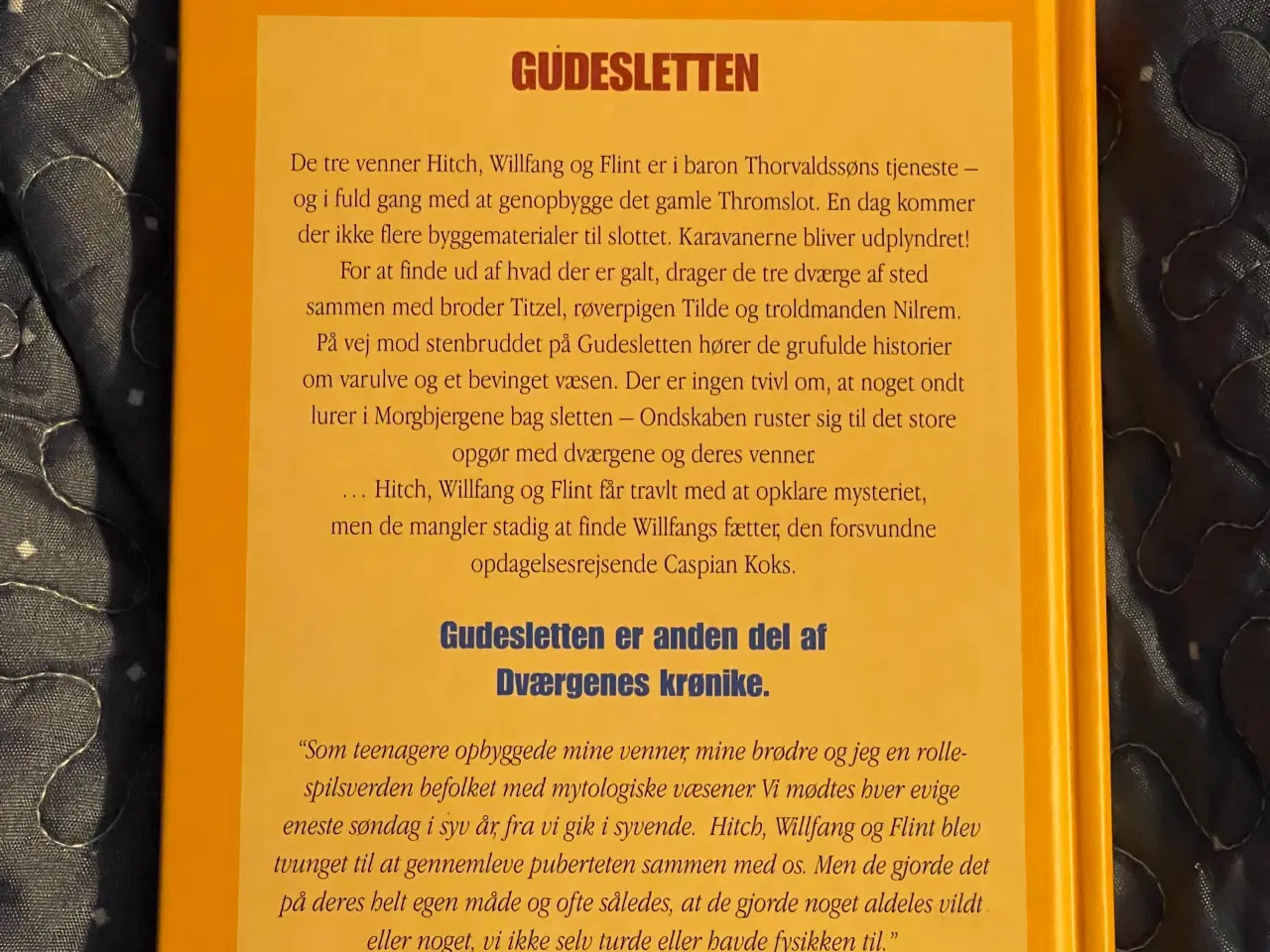 Billede 2 - Dværgenes krønike - Gudesletten