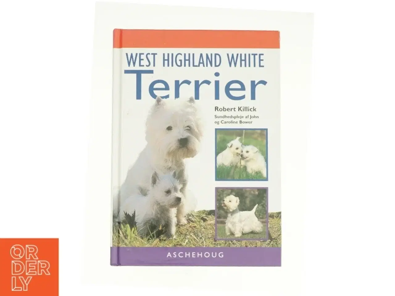 Billede 1 - West hightland white terrier (bog)