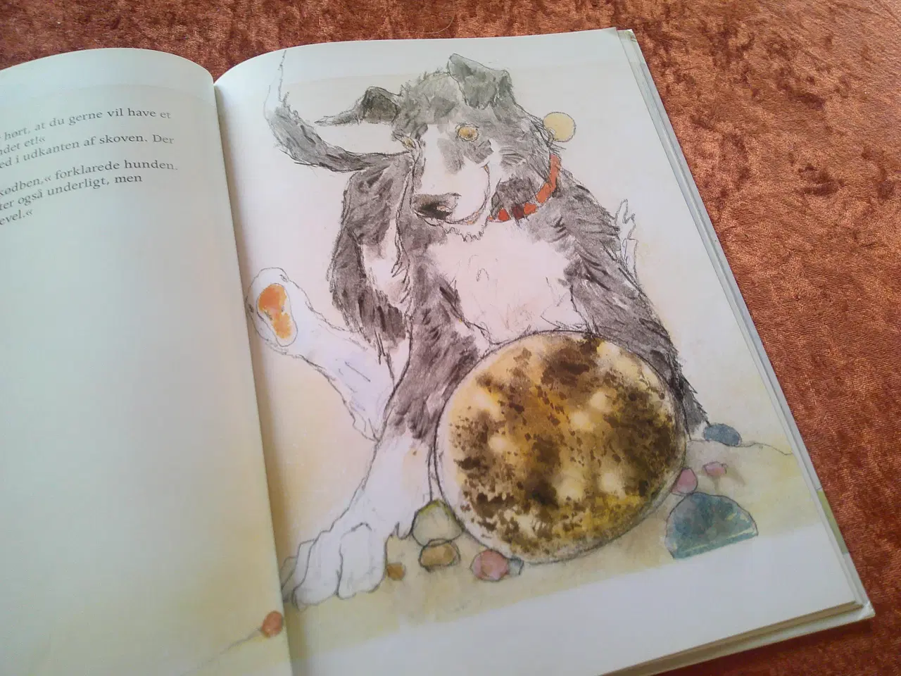 Billede 3 - Den grønne kylling, Adele Sansone,