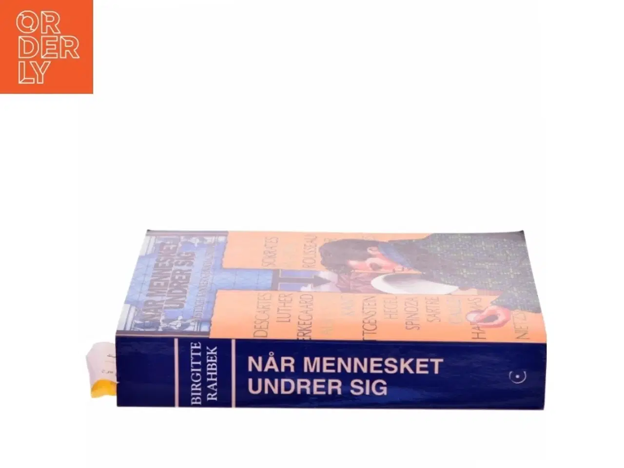 Billede 2 - Når mennesket undrer sig : vestlige tanker gennem 2500 år af Birgitte Rahbek (Bog)