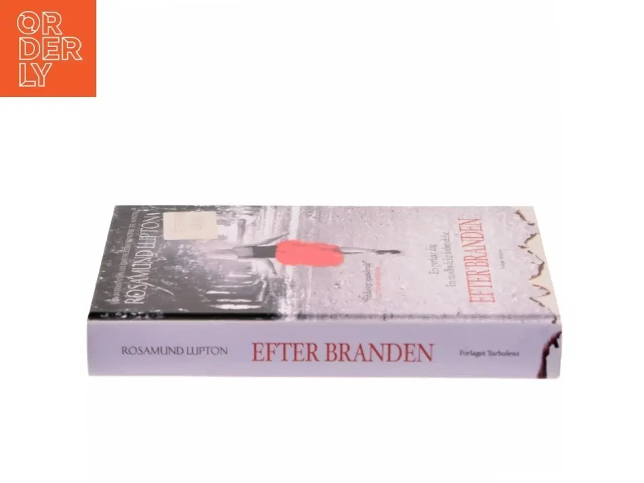 Billede 2 - Efter branden af Rosamund Lupton (Bog)