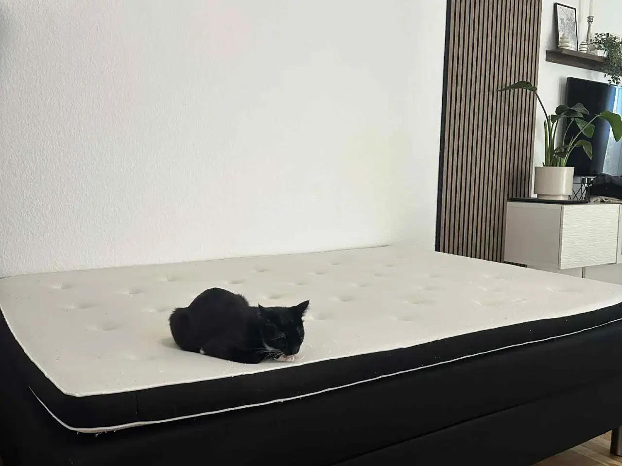 Billede 2 - Kontinental Seng ( Billig )