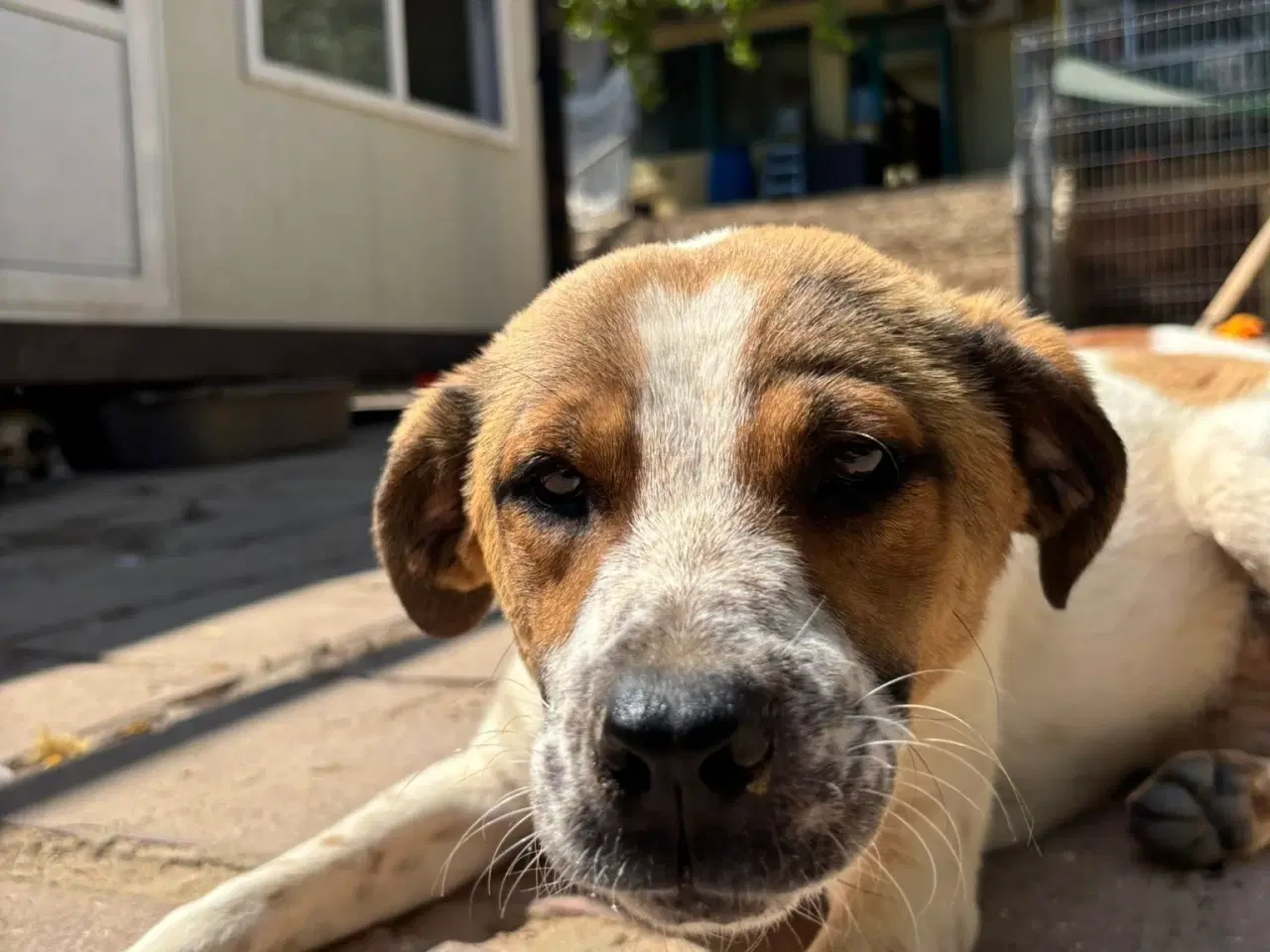 Billede 8 - Søde Virgin søger 4ever familie 🩷