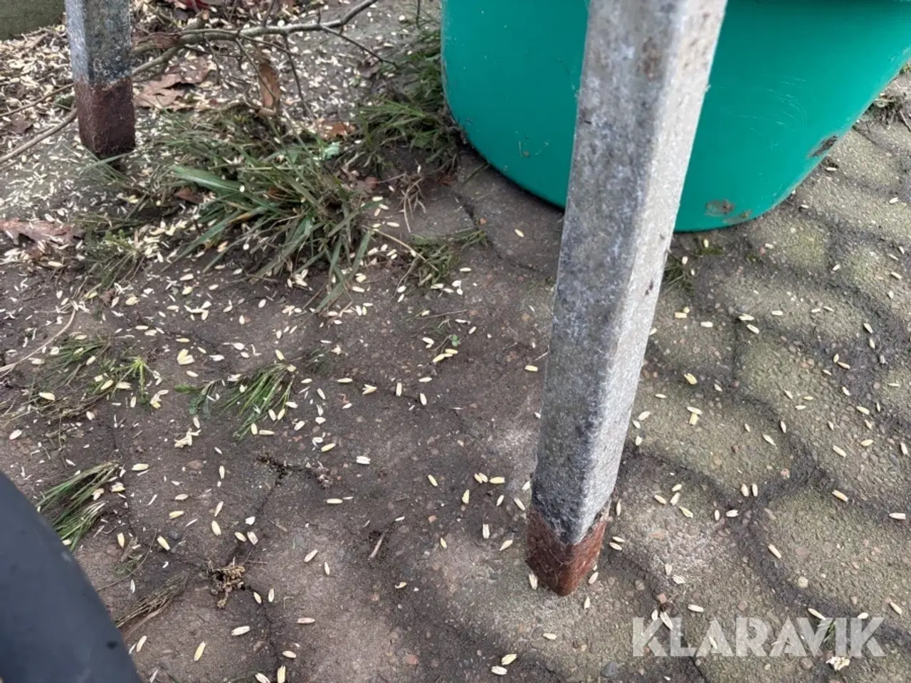 Billede 10 - Valse Vedersø T/23/lylli