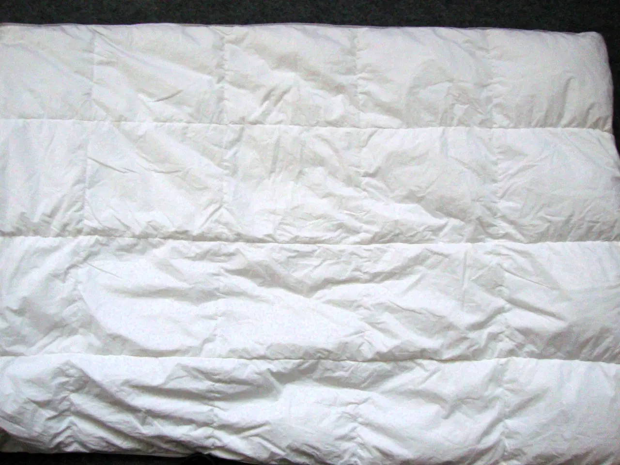 Billede 3 - Juniordyne, Stella Polaris Delfinen