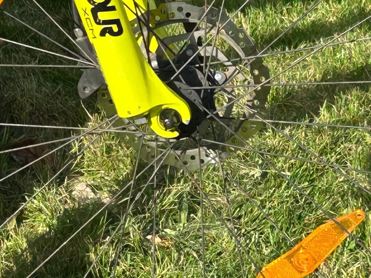 Billede 5 - Scott Scale 26 disc