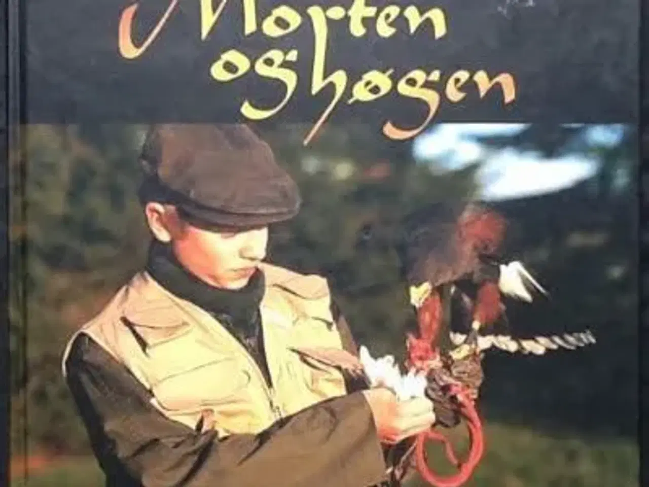 Billede 1 - Søren Skarby: Morten og Høgen - jagt med rovfugl