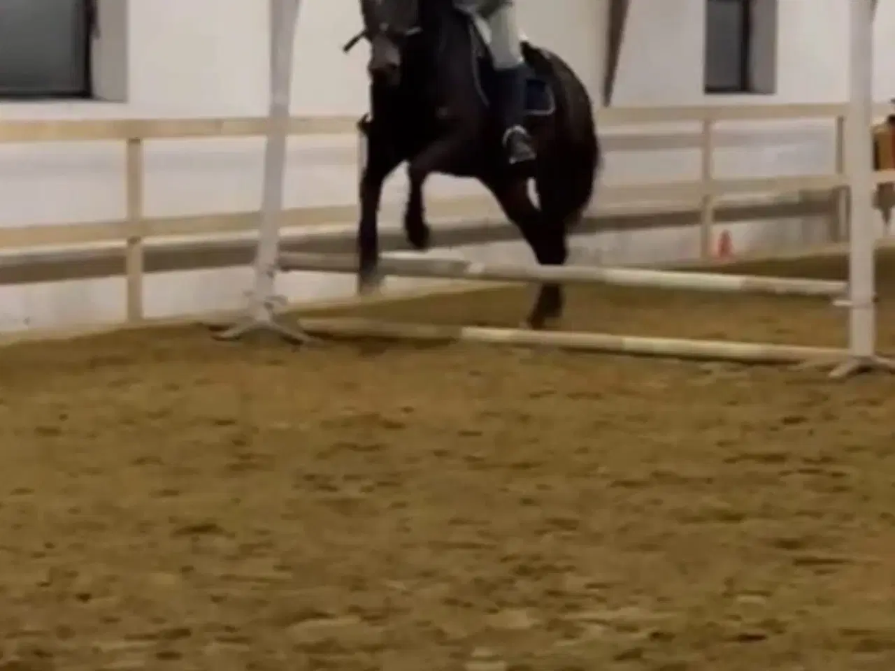 Billede 1 - Dejlig Vallak sælges