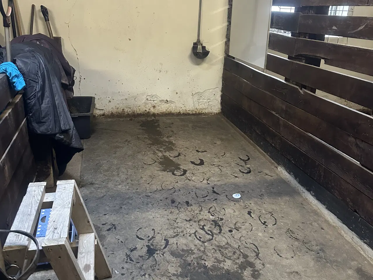 Billede 4 - Bokse udlejes i Stenstrup med ridehus på stedet