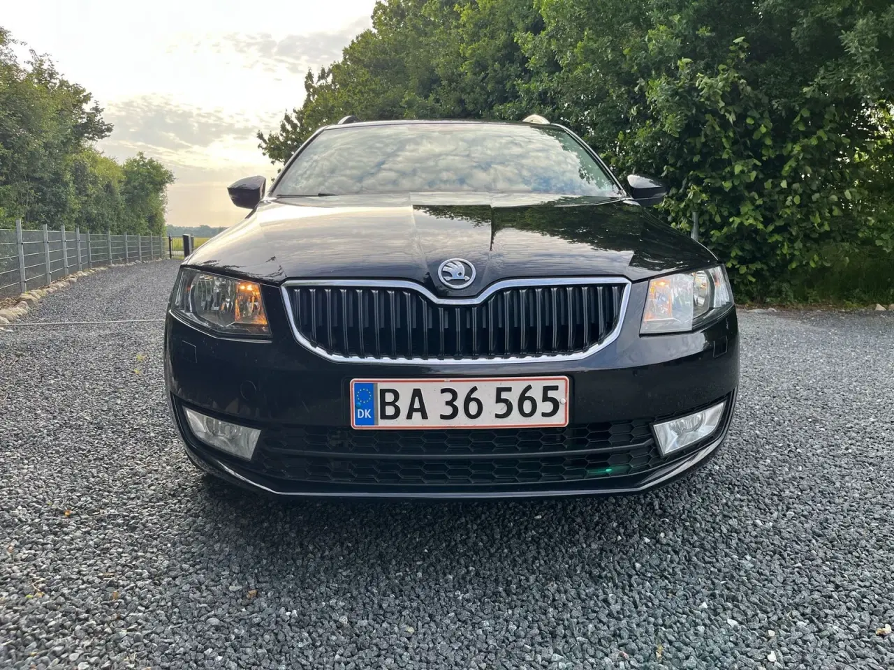 Billede 1 - Skoda Octavia 1,8 TSi 180 Ambition Combi DSG