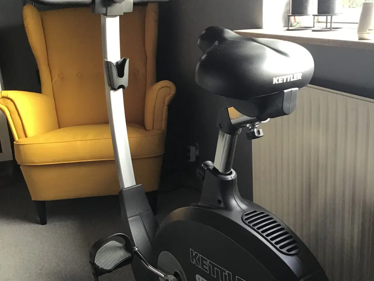 Billede 1 - Motionscykel Kettler ERG DX1 PRO