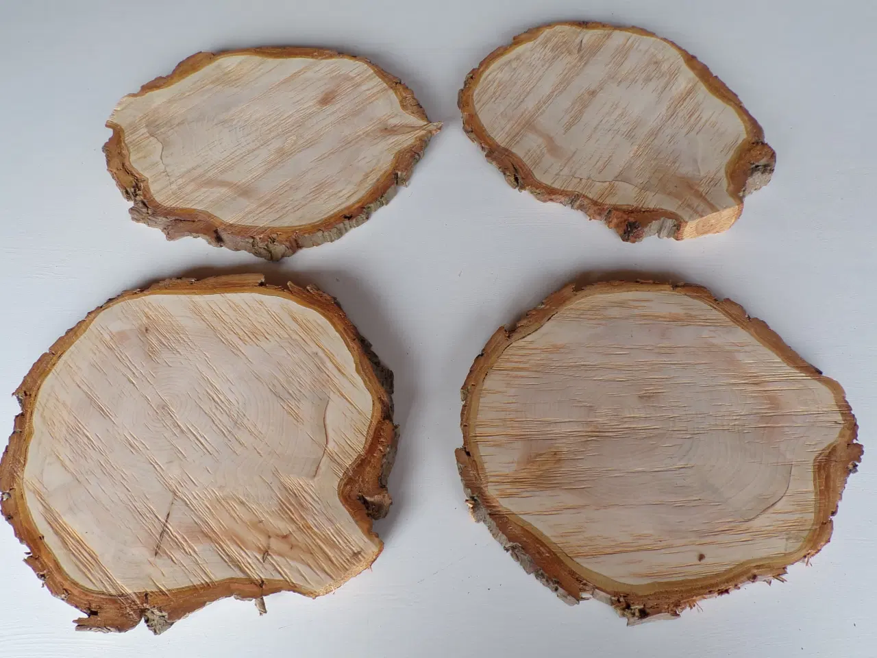 Billede 1 - NYE Træskiver Thuja 30-35 cm 