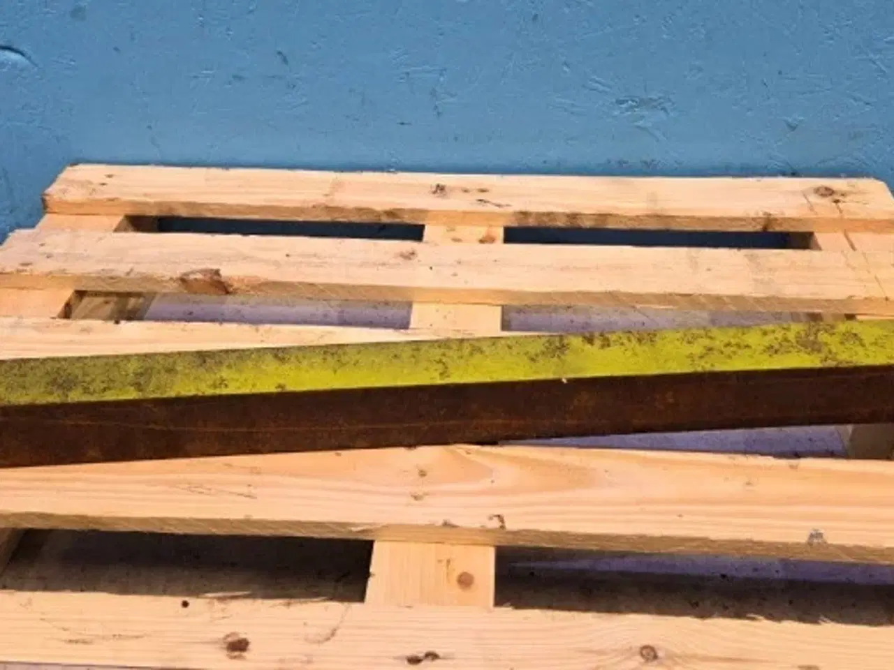 Billede 15 - Claas Jaguar 850 Kniv Plade 9843395