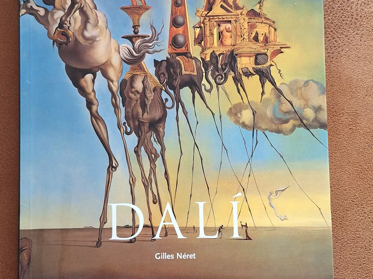 Billede 1 - Bogen Dalí af Gilles Nèret 