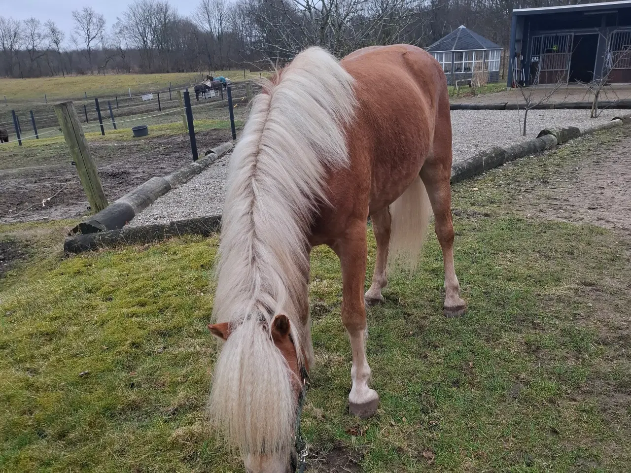 Billede 1 - Vil du ses???