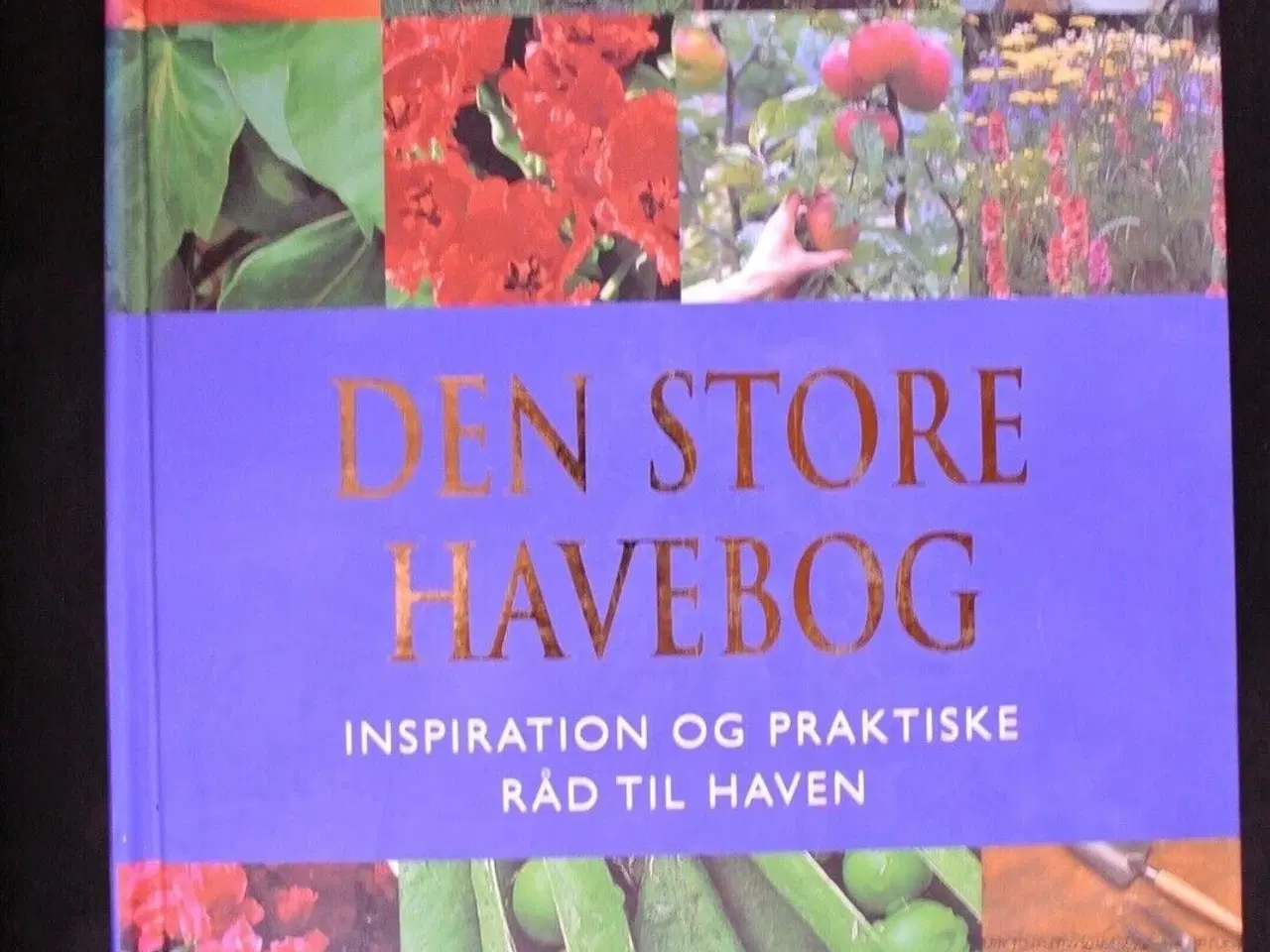 Billede 1 - den store havebog - inspiration og praktiske råd ,