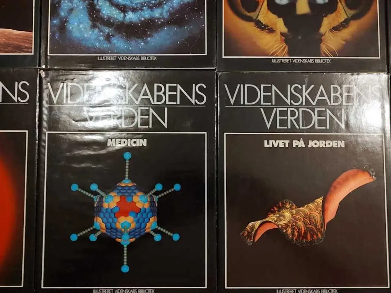 Billede 5 - Videnskabens verden 24 stk