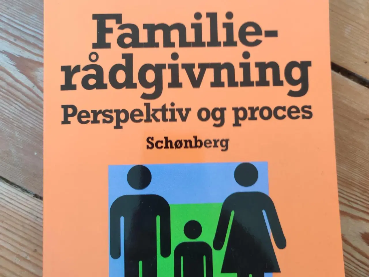 Billede 1 - Familierådgivning - perspektiv og proces
