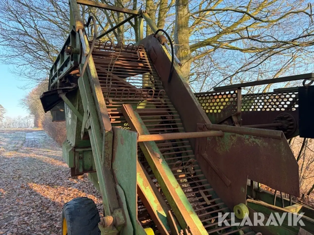 Billede 8 - Ruerenser Thyregods