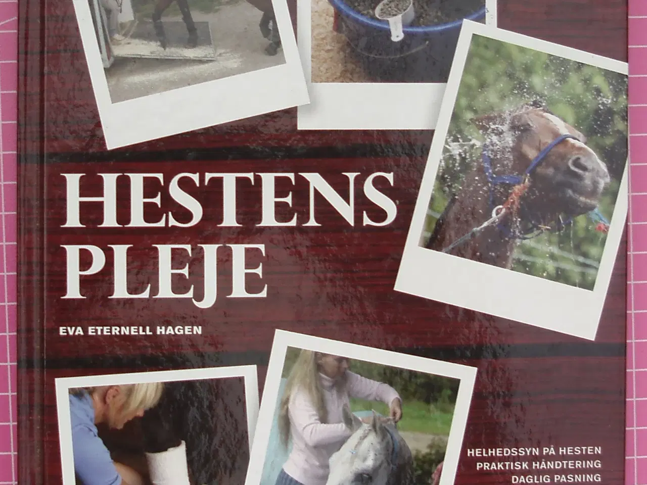 Billede 1 - Hestens pleje af Eva Eternell Hagen