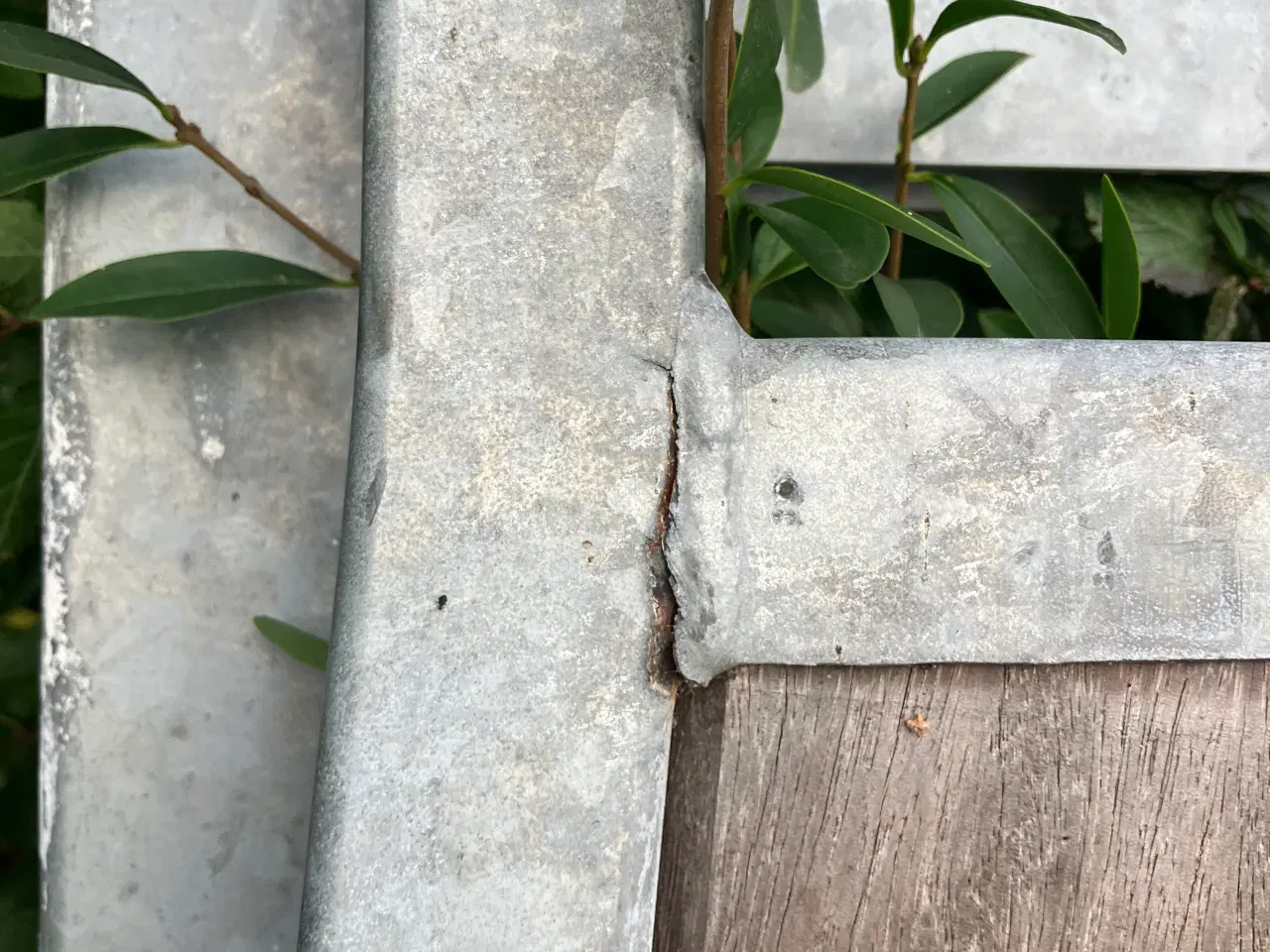 Billede 3 - Hesteboks 4m front 3 m side hårdttræsplanker