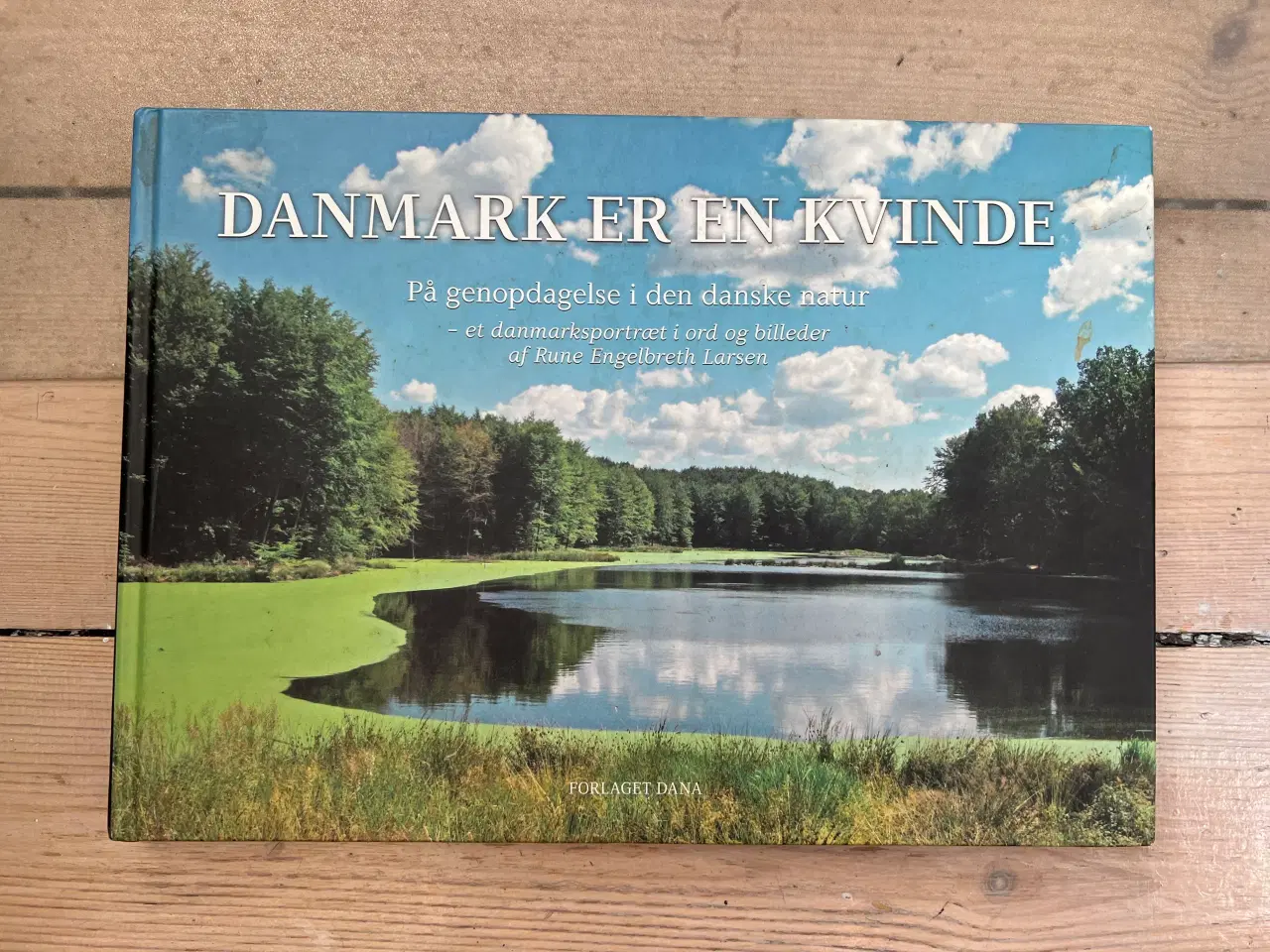 Billede 3 - Danmark er en kvinde