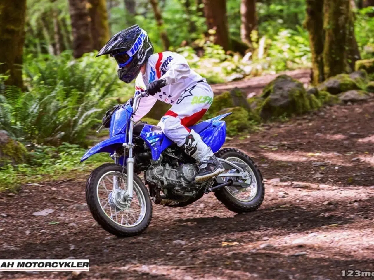 Billede 5 - Yamaha TTR 110