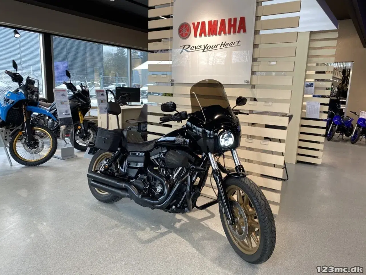 Billede 3 - Harley-Davidson FXDLS Dyna Low Rider S