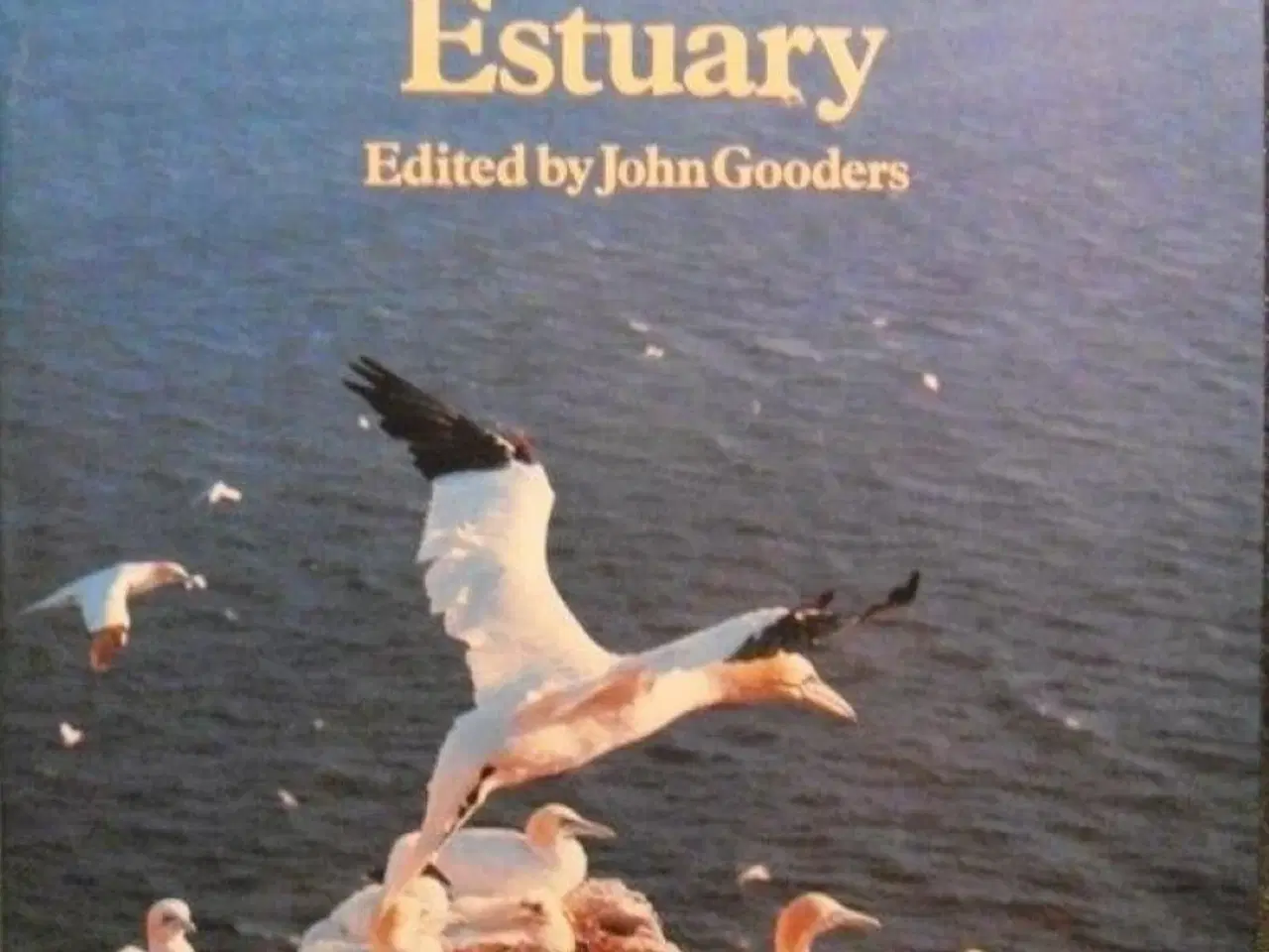 Billede 1 - Birds of Ocean and Estuary by John Gooders