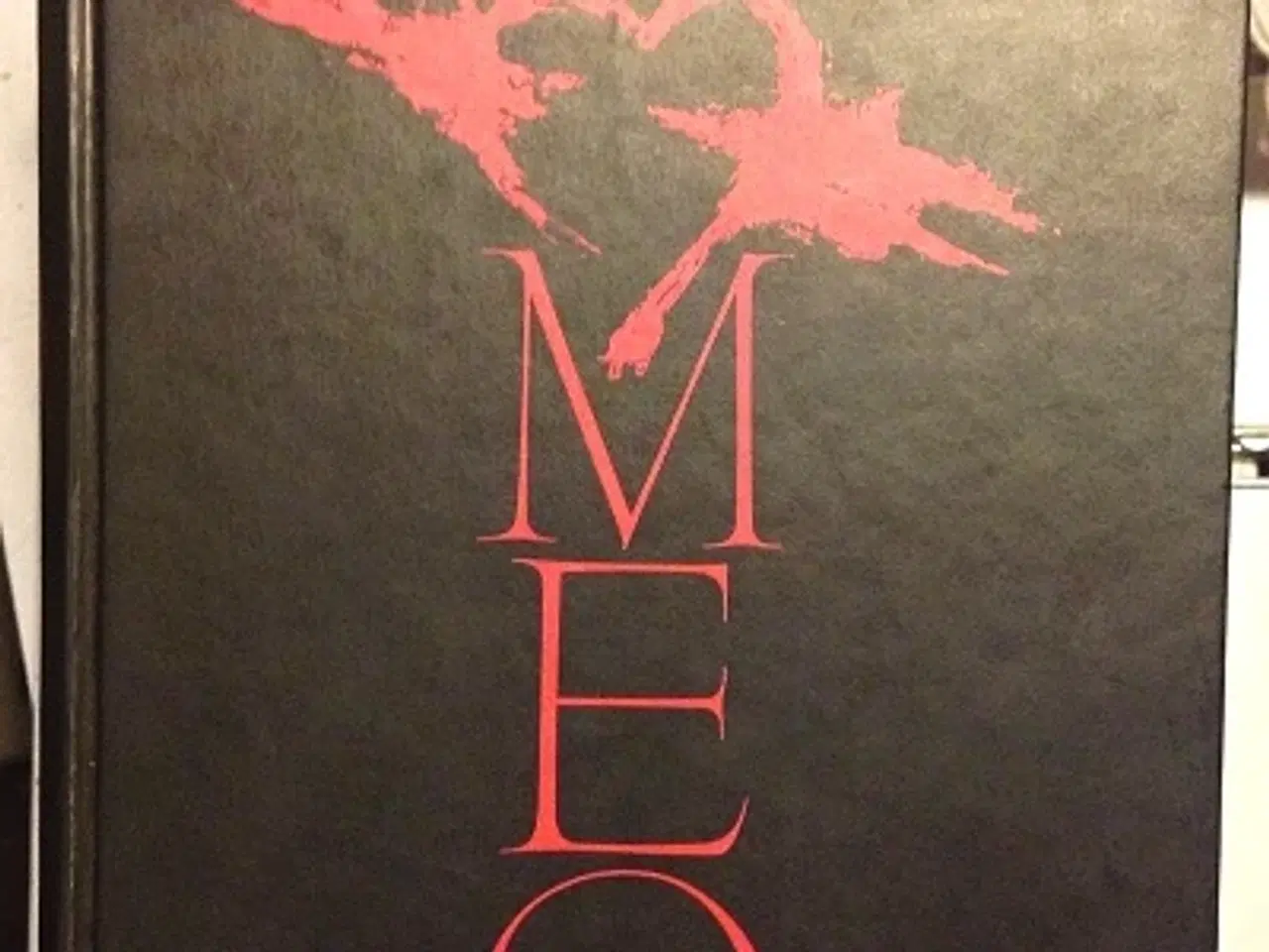 Billede 1 - Elise Title: Romeo