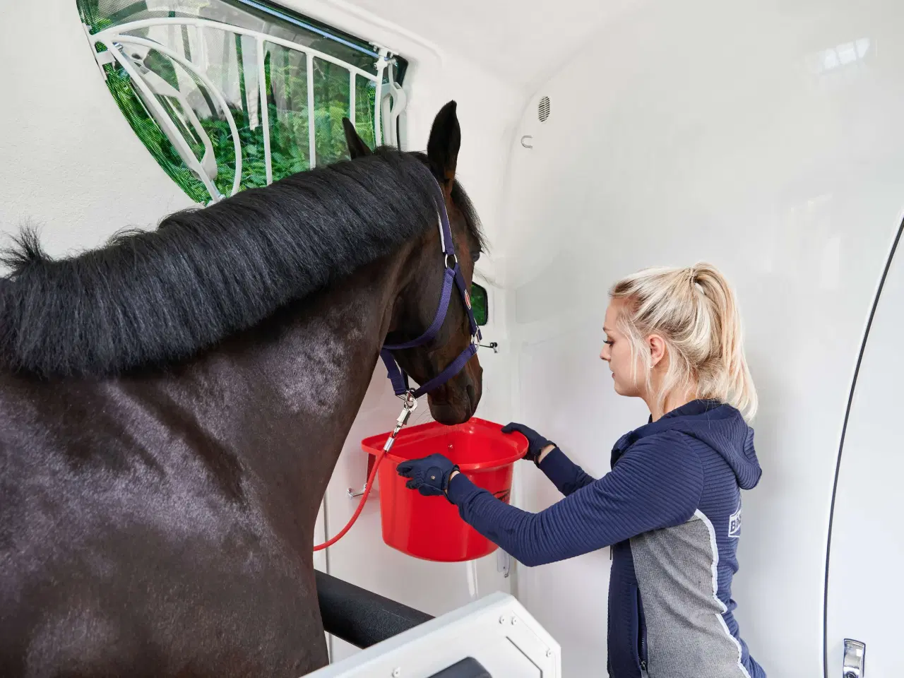 Billede 26 - Böckmann Neo L SR