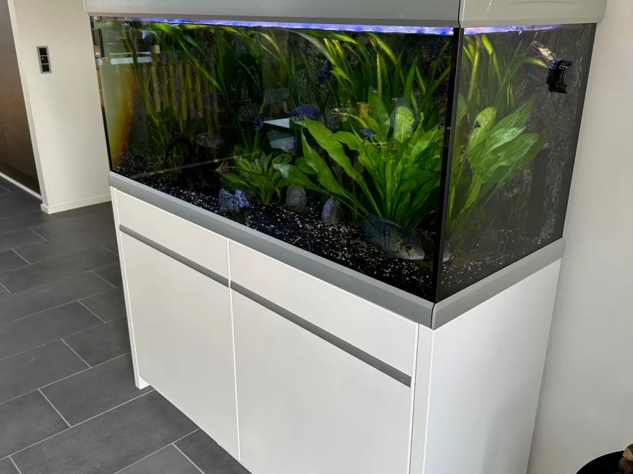 Billede 1 - Akvastabil Move Akvarium 360 liter sælges