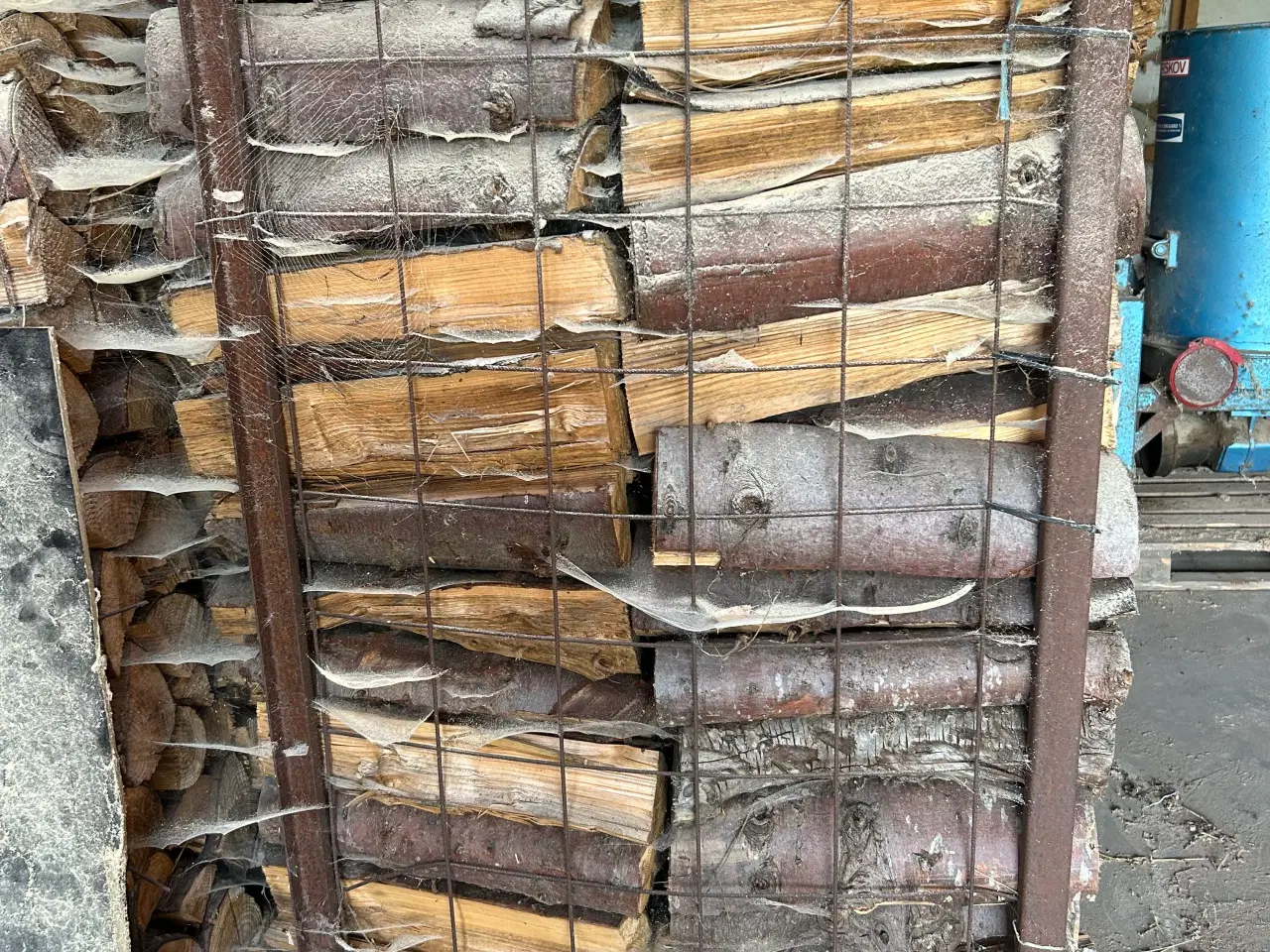 Billede 1 - Grantræ til brænde 