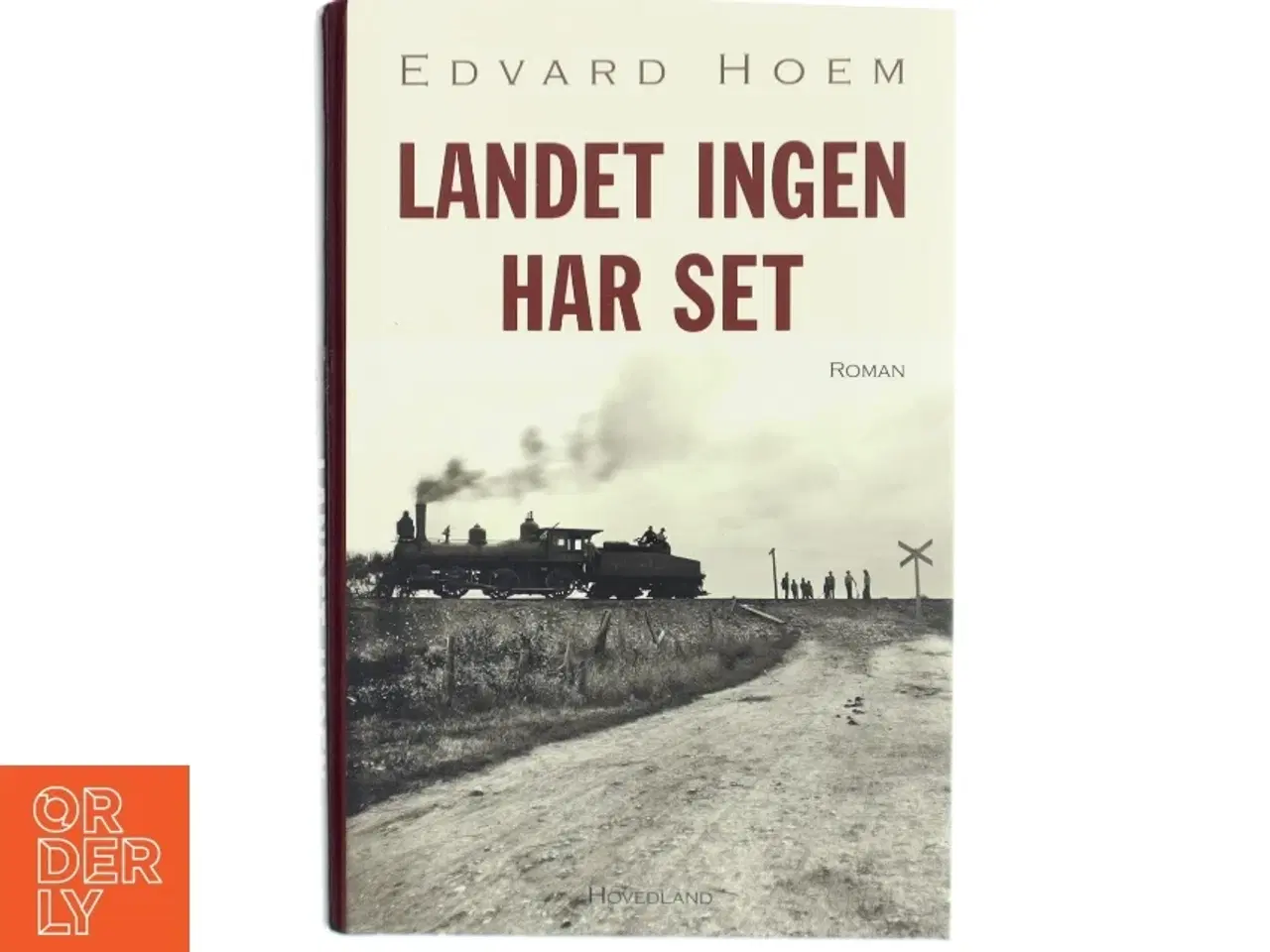 Billede 1 - Landet ingen har set : roman af Edvard Hoem (Bog)