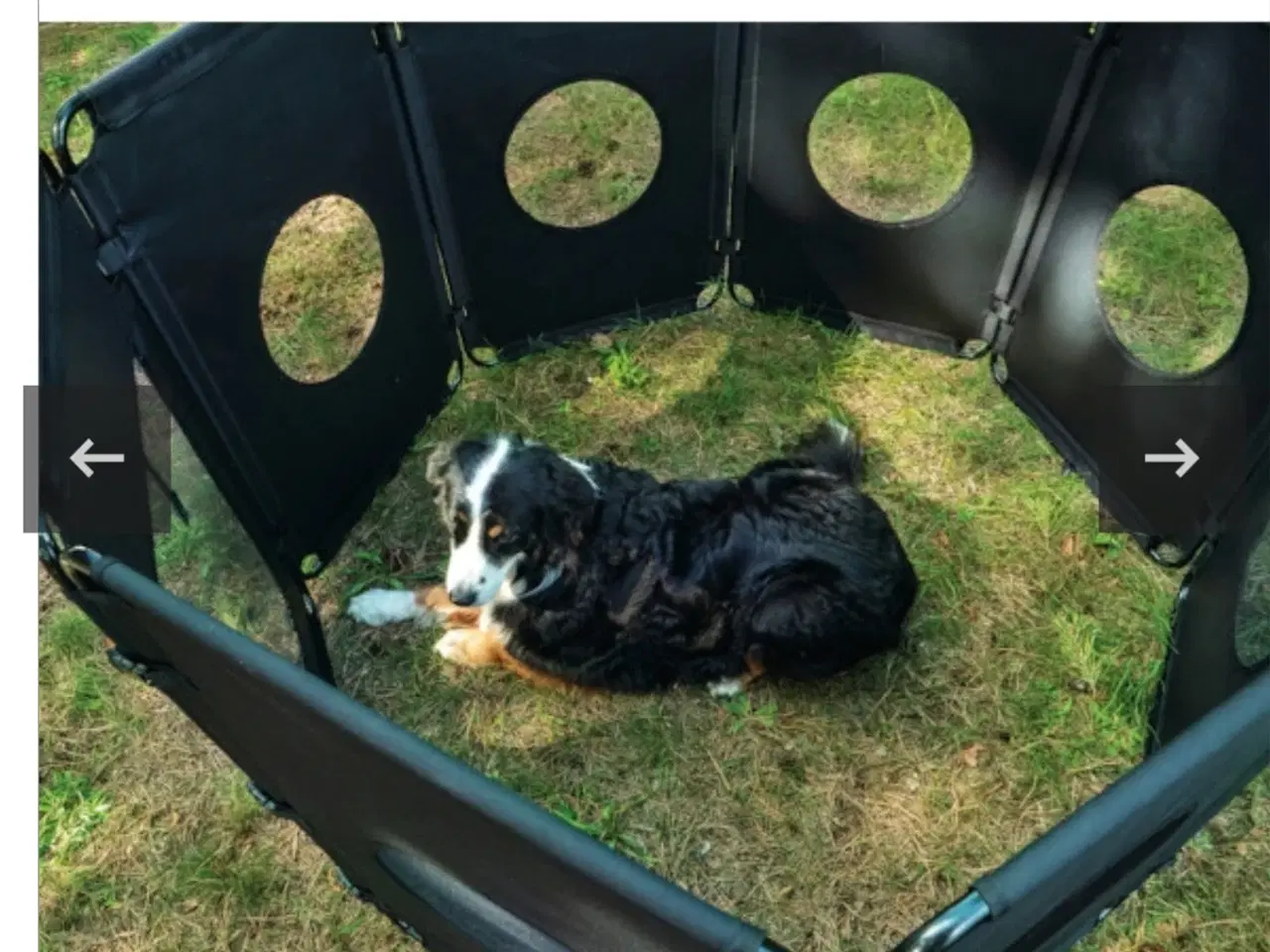 Billede 4 - CAMP4 Hundegård, Foldbar med 8 Paneler