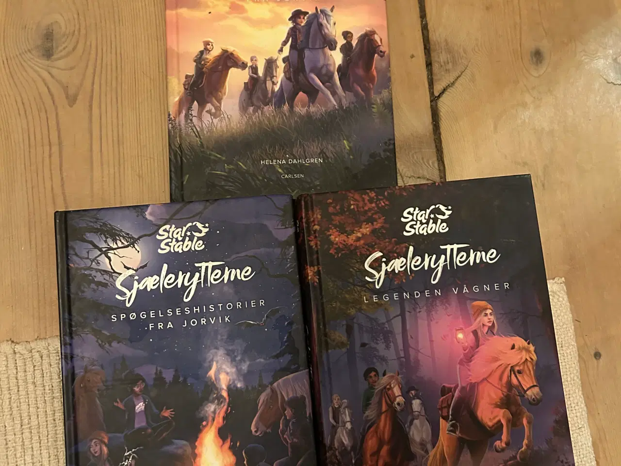 Billede 3 - 🦄💞BYD! Hesterbøger sælges💞🦄