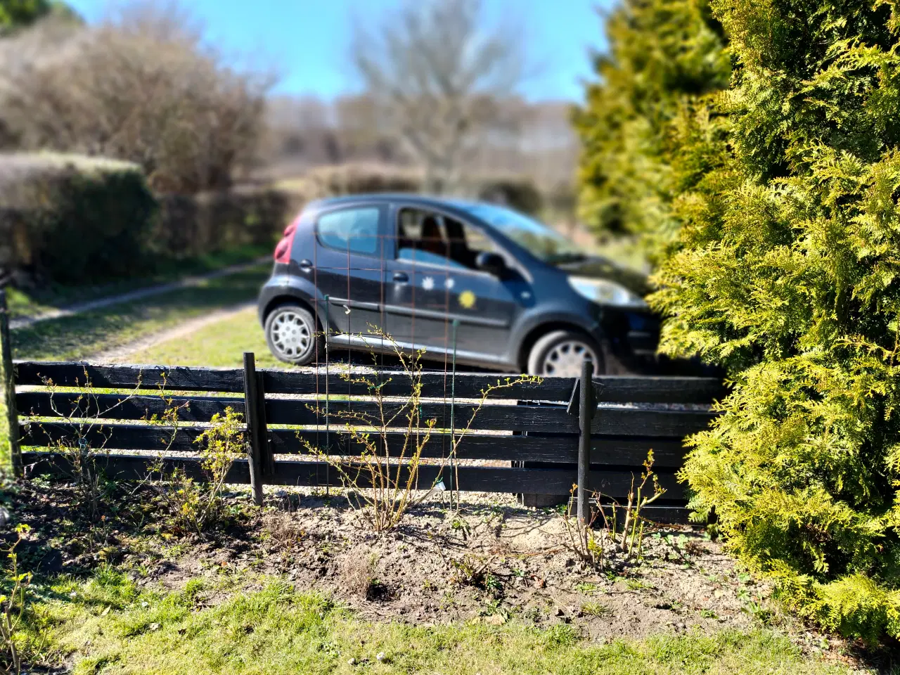 Billede 4 - Dejlig kolonihave