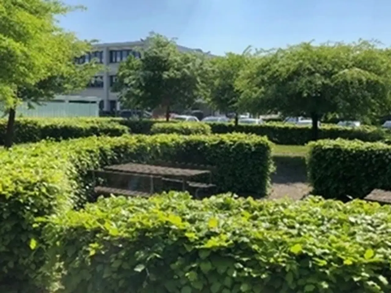 Billede 1 - Hyggelig fælles have til sommeren - HALV PRIS frem til d. 30. september 2024