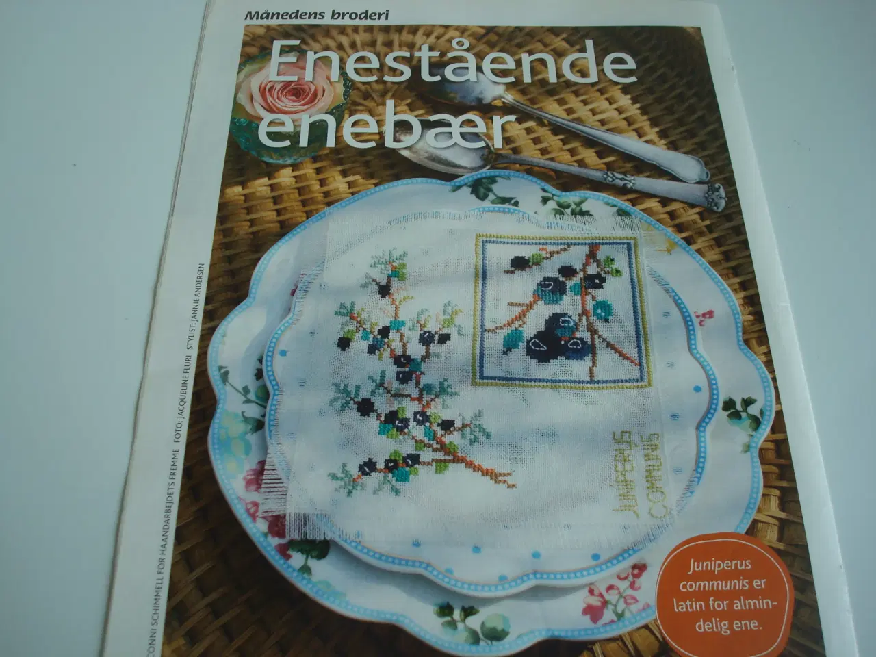 Billede 1 - Mønster med enebær