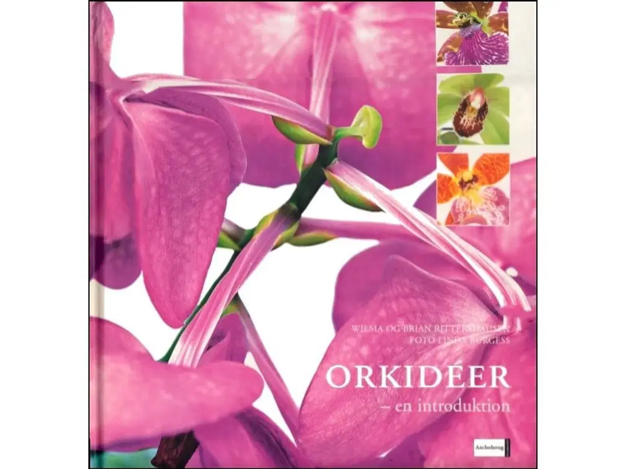 Billede 2 - Orkidéer - 6 Bøger 30-75 kr.