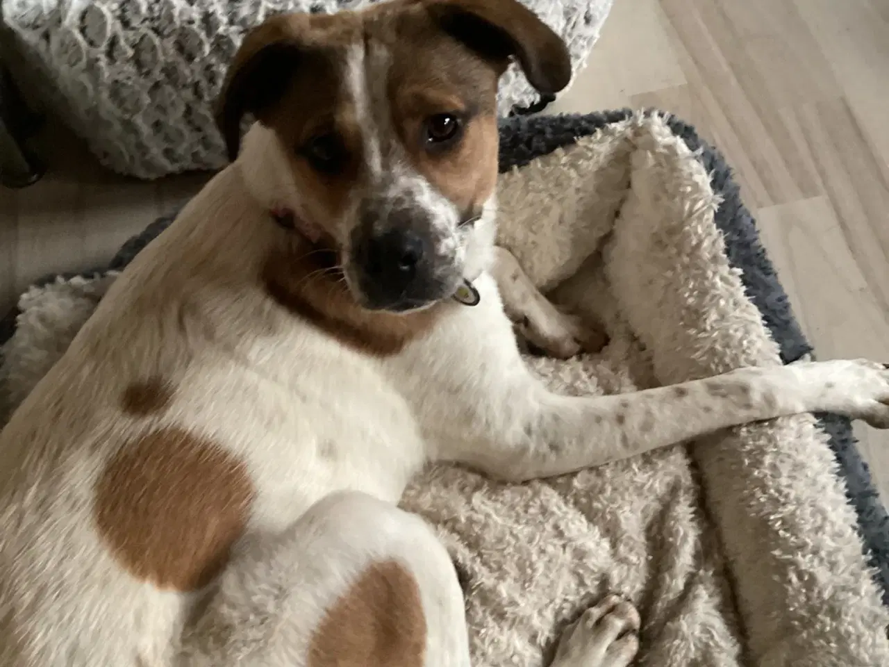 Billede 4 - Søde Virgin søger 4ever familie 🩷